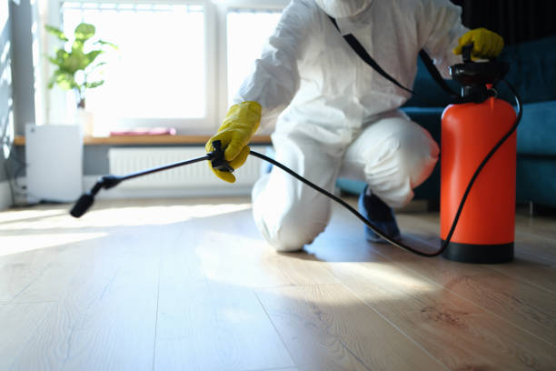 Reliable Odor Removal contractor in Burbank, WA by Trauma Clean Pros